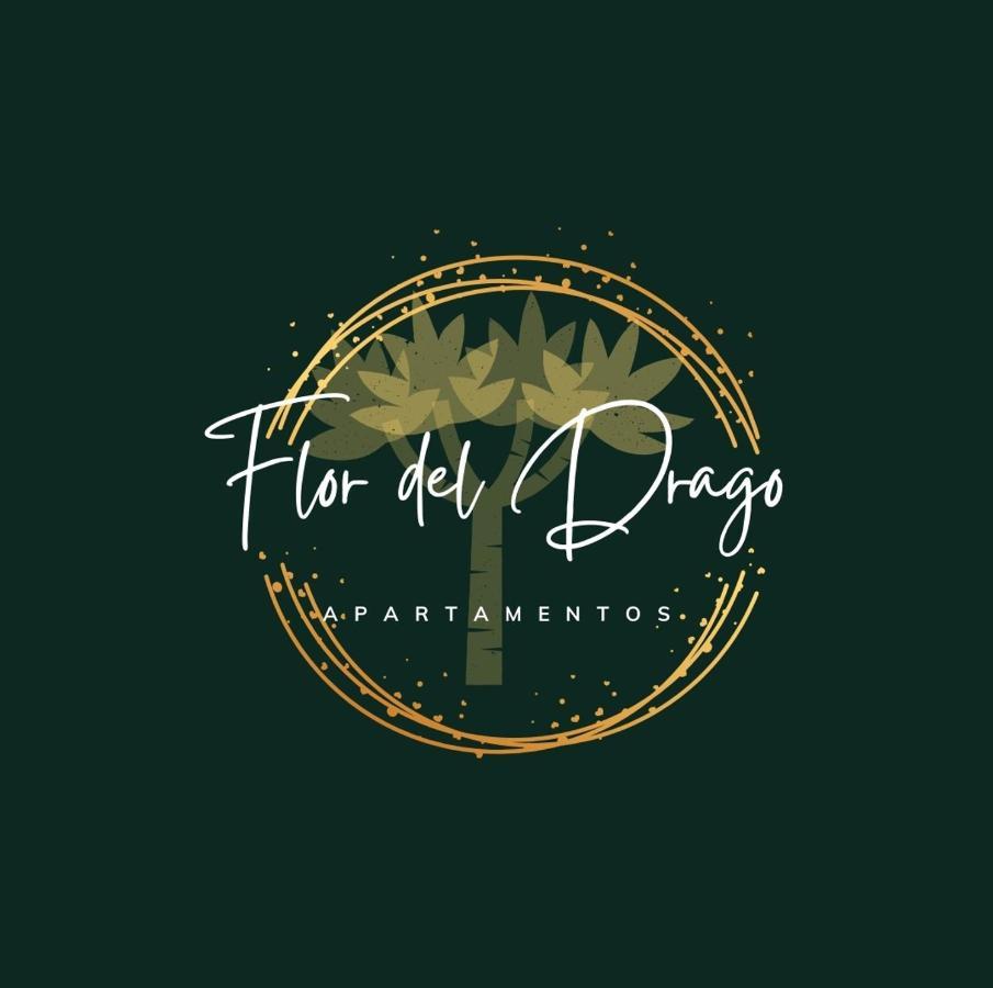 Appartamento Flor Del Drago Icod De Los Vinos Esterno foto