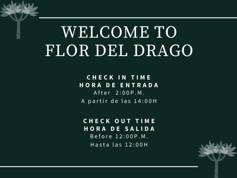 Appartamento Flor Del Drago Icod De Los Vinos Esterno foto